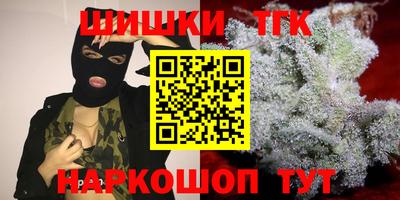 гашик Гагарин