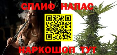 гашик Гагарин
