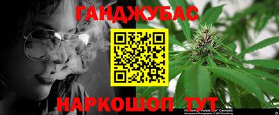 гашик Гагарин