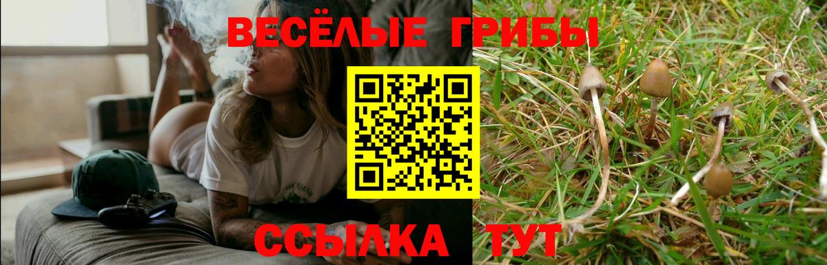 Купить наркотики цена  Меф МЯУ МЯУ   APVP СОЛЬ кристаллы  Новоуральск  Вход с VPN  Канабис  ГАШИШ  Конопля 