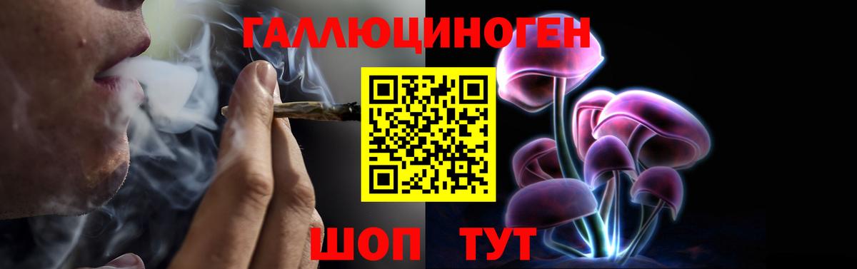 Галлюциногенные грибы MAGIC MUSHROOMS  Вход с VPN  Новоуральск  Псилоцибиновые грибы Magic Shrooms 